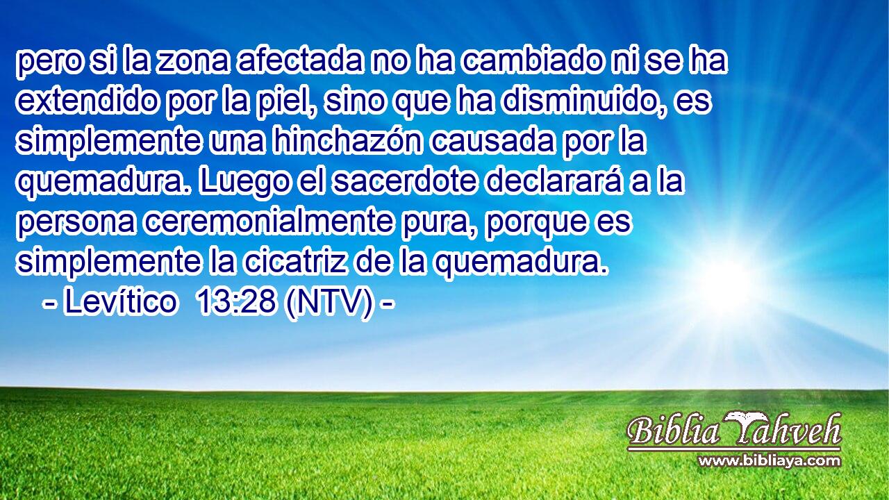 pero si la zona afectada no ha cambiado ni se ha extendido por la piel, sino que ha disminuido, es simplemente una hinchazón causada por la quemadura. Luego el sacerdote declarará a la persona ceremonialmente pura, porque es simplemente la cicatriz de la quemadura.