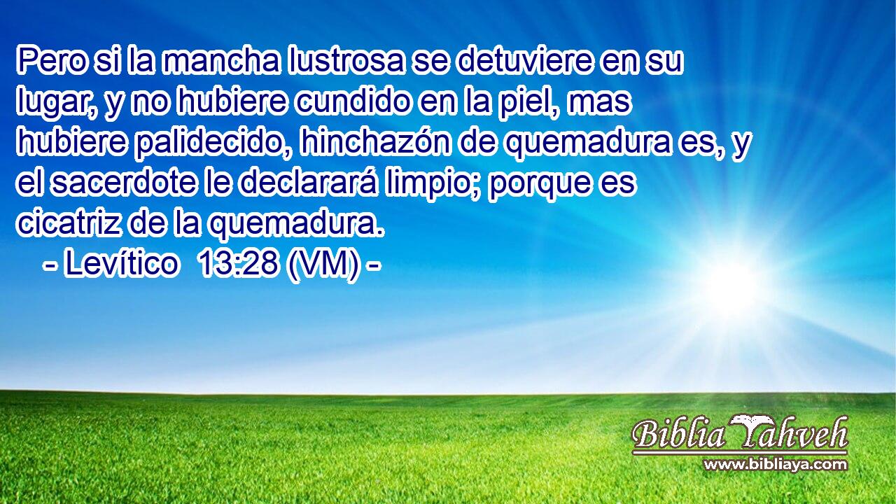  Pero si la mancha lustrosa se detuviere en su lugar, y no hubiere cundido en la piel, mas hubiere palidecido, hinchazón de quemadura es, y el sacerdote le declarará limpio; porque es cicatriz de la quemadura. 