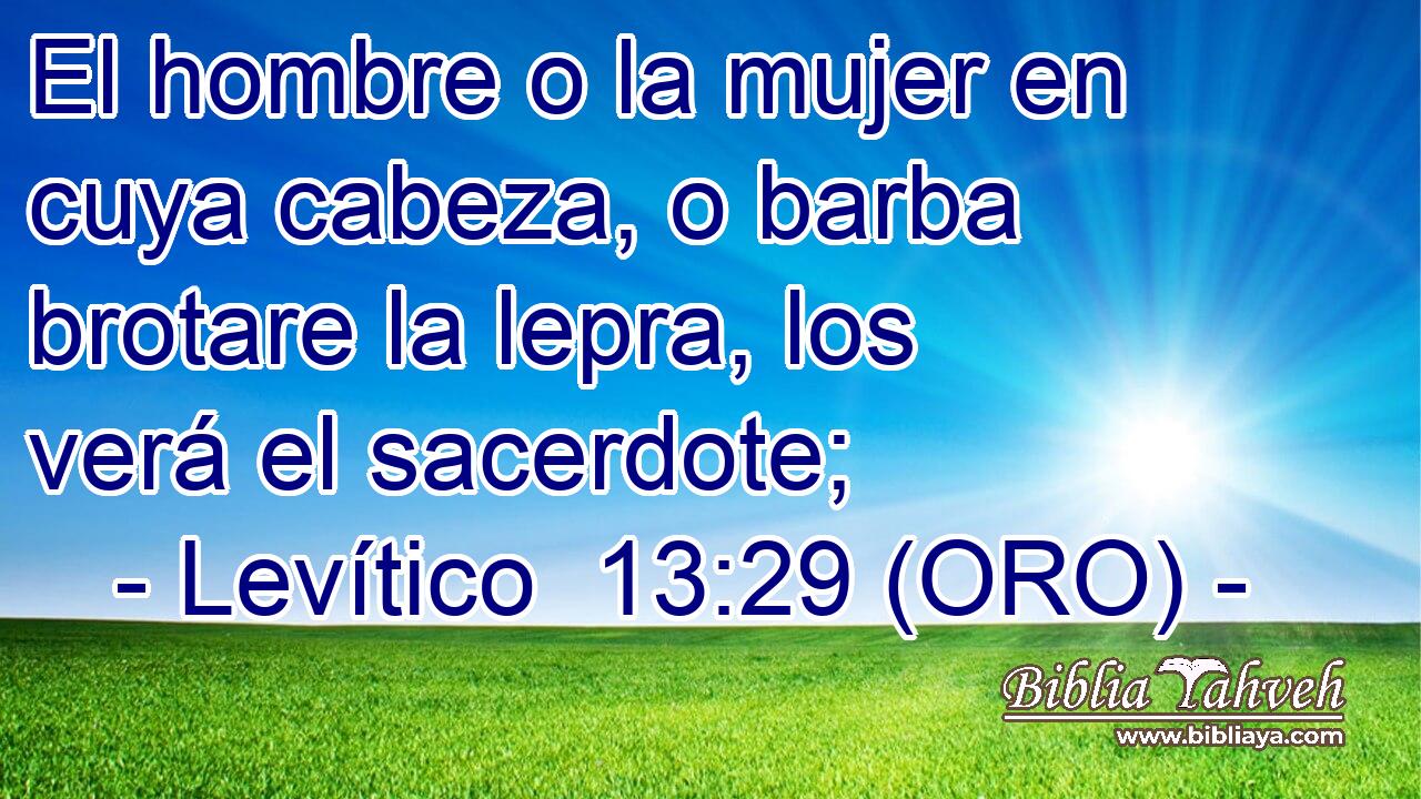  El hombre o la mujer en cuya cabeza, o barba brotare la lepra, los verá el sacerdote; 