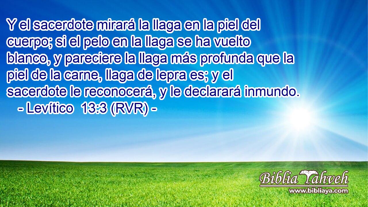 Y el sacerdote mirará la llaga en la piel del cuerpo; si el pelo en la llaga se ha vuelto blanco, y pareciere la llaga más profunda que la piel de la carne, llaga de lepra es; y el sacerdote le reconocerá, y le declarará inmundo.