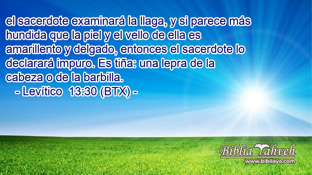 el sacerdote examinará la llaga, y si parece más hundida que la piel y el vello de ella es amarillento y delgado, entonces el sacerdote lo declarará impuro. Es tiña: una lepra de la cabeza o de la barbilla.