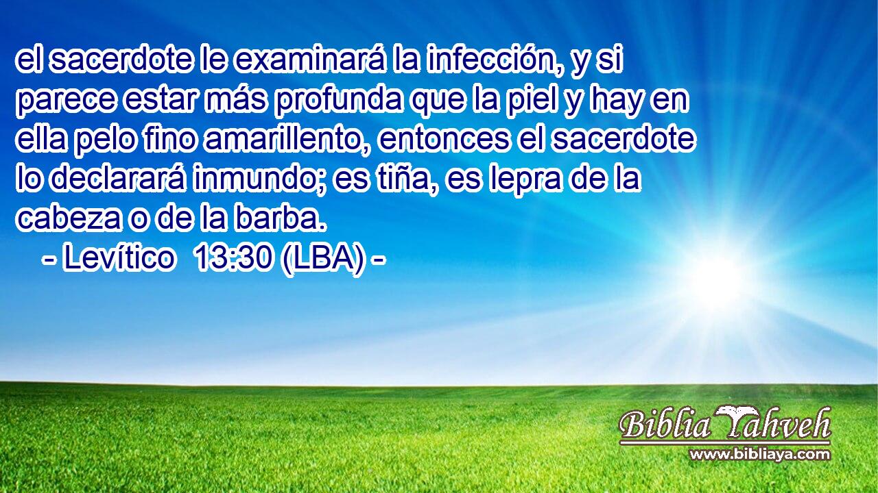 el sacerdote le examinará la infección, y si parece estar más profunda que la piel y hay en ella pelo fino amarillento, entonces el sacerdote lo declarará inmundo; es tiña, es lepra de la cabeza o de la barba.