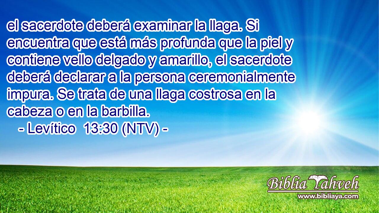 el sacerdote deberá examinar la llaga. Si encuentra que está más profunda que la piel y contiene vello delgado y amarillo, el sacerdote deberá declarar a la persona ceremonialmente impura. Se trata de una llaga costrosa en la cabeza o en la barbilla.