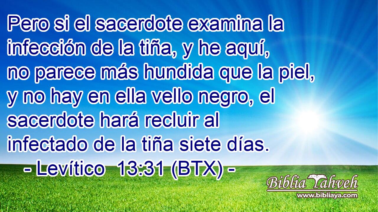 Pero si el sacerdote examina la infección de la tiña, y he aquí, no parece más hundida que la piel, y no hay en ella vello negro, el sacerdote hará recluir al infectado de la tiña siete días.