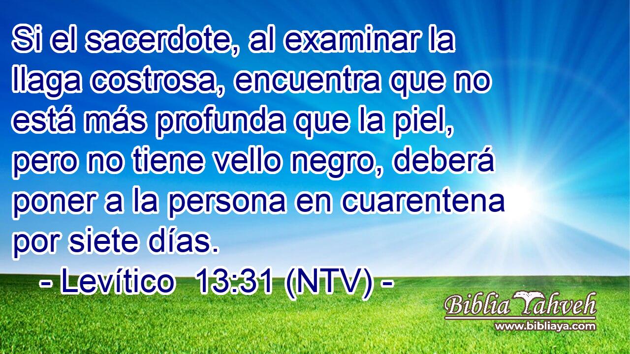 Si el sacerdote, al examinar la llaga costrosa, encuentra que no está más profunda que la piel, pero no tiene vello negro, deberá poner a la persona en cuarentena por siete días.