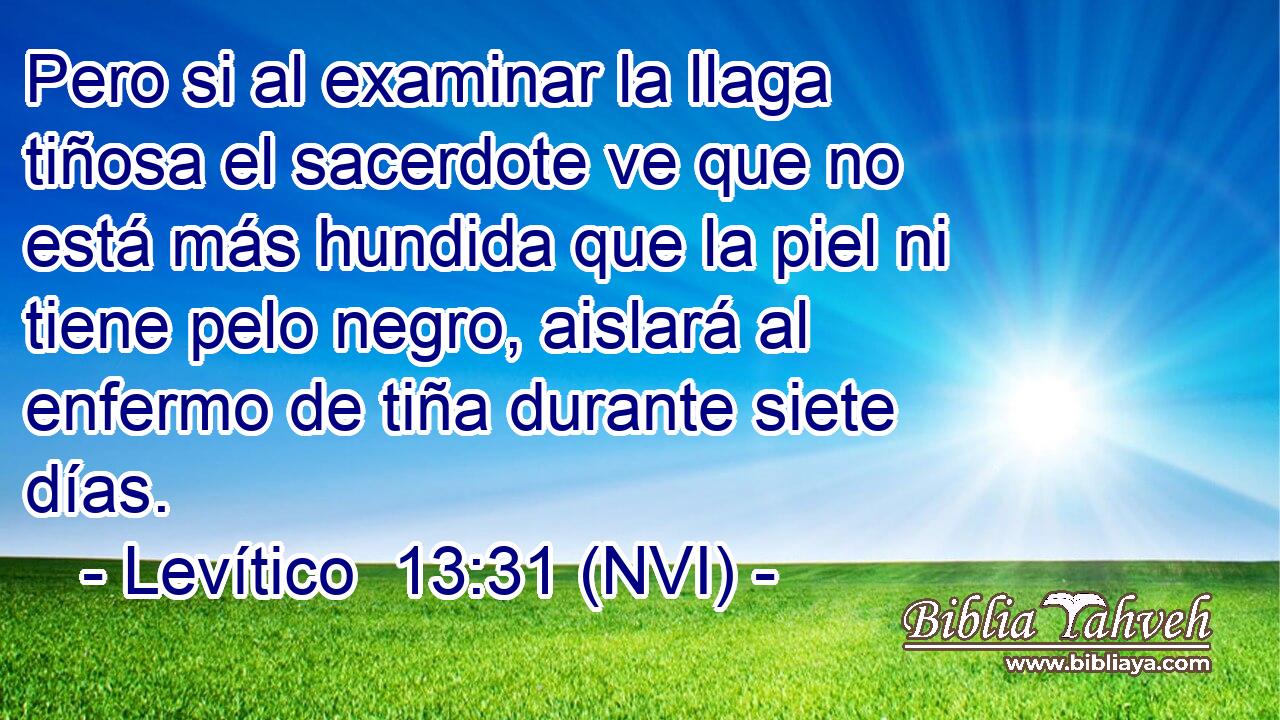  Pero si al examinar la llaga tiñosa el sacerdote ve que no está más hundida que la piel ni tiene pelo negro, aislará al enfermo de tiña durante siete días. 