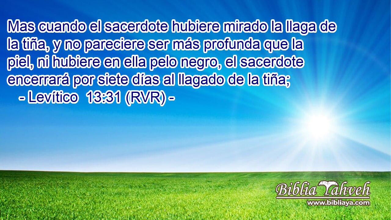 Mas cuando el sacerdote hubiere mirado la llaga de la tiña, y no pareciere ser más profunda que la piel, ni hubiere en ella pelo negro, el sacerdote encerrará por siete días al llagado de la tiña;