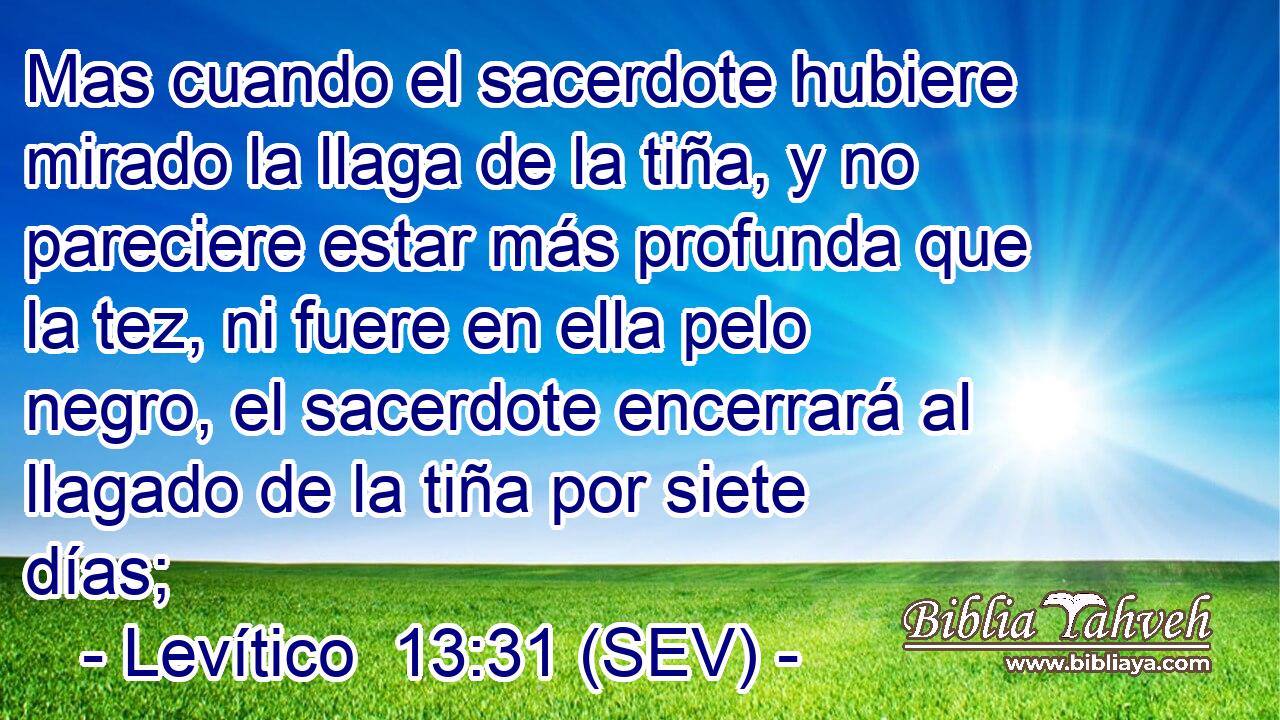 Mas cuando el sacerdote hubiere mirado la llaga de la tiña, y no pareciere estar más profunda que la tez, ni fuere en ella pelo negro, el sacerdote encerrará al llagado de la tiña por siete días;