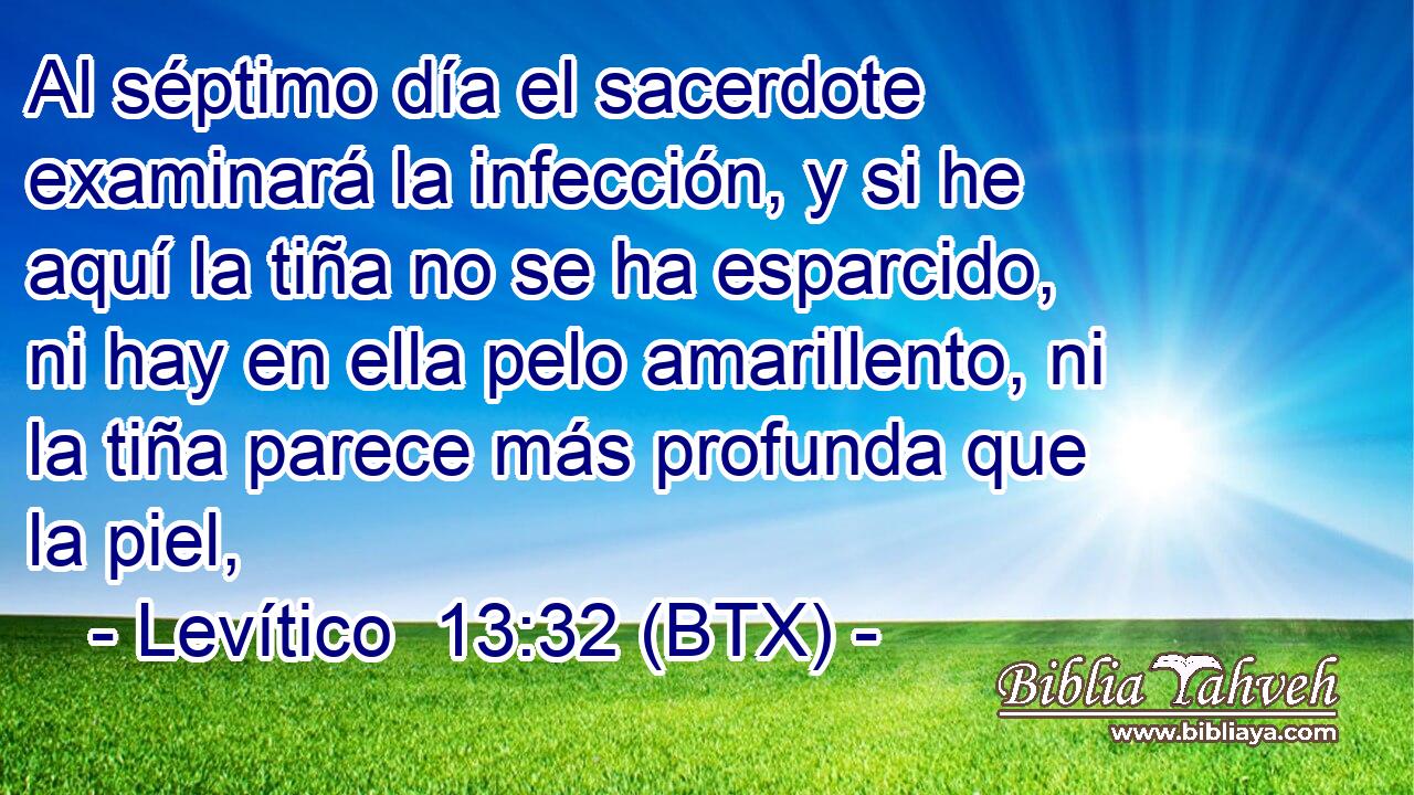 Al séptimo día el sacerdote examinará la infección, y si he aquí la tiña no se ha esparcido, ni hay en ella pelo amarillento, ni la tiña parece más profunda que la piel,