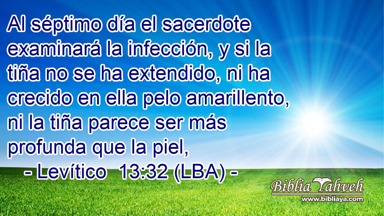 Al séptimo día el sacerdote examinará la infección, y si la tiña no se ha extendido, ni ha crecido en ella pelo amarillento, ni la tiña parece ser más profunda que la piel,