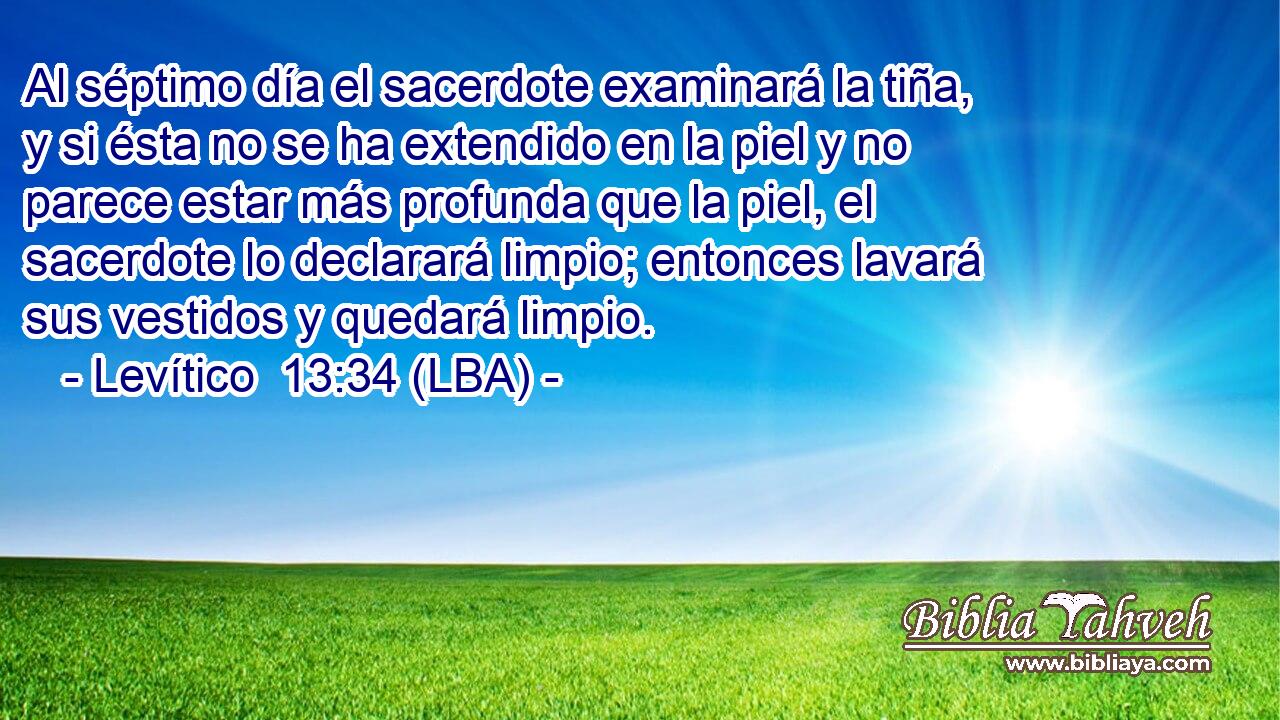 Al séptimo día el sacerdote examinará la tiña, y si ésta no se ha extendido en la piel y no parece estar más profunda que la piel, el sacerdote lo declarará limpio; entonces lavará sus vestidos y quedará limpio.