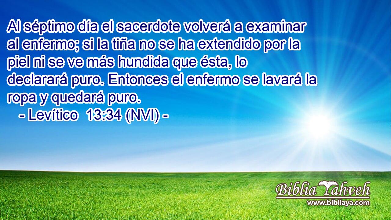  Al séptimo día el sacerdote volverá a examinar al enfermo; si la tiña no se ha extendido por la piel ni se ve más hundida que ésta, lo declarará puro. Entonces el enfermo se lavará la ropa y quedará puro. 