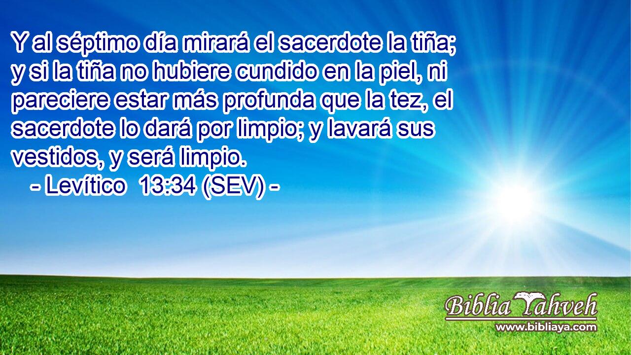 Y al séptimo día mirará el sacerdote la tiña; y si la tiña no hubiere cundido en la piel, ni pareciere estar más profunda que la tez, el sacerdote lo dará por limpio; y lavará sus vestidos, y será limpio.