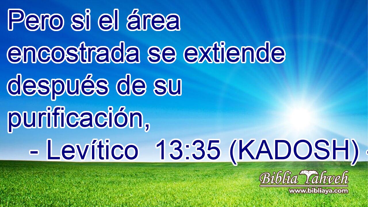  Pero si el área encostrada se extiende después de su purificación, 