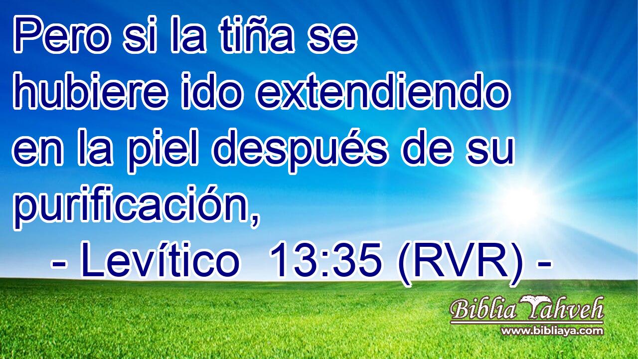 Pero si la tiña se hubiere ido extendiendo en la piel después de su purificación,