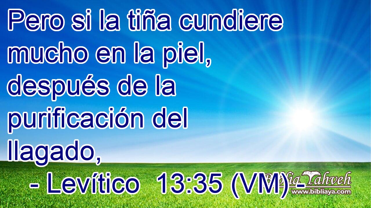  Pero si la tiña cundiere mucho en la piel, después de la purificación del llagado, 