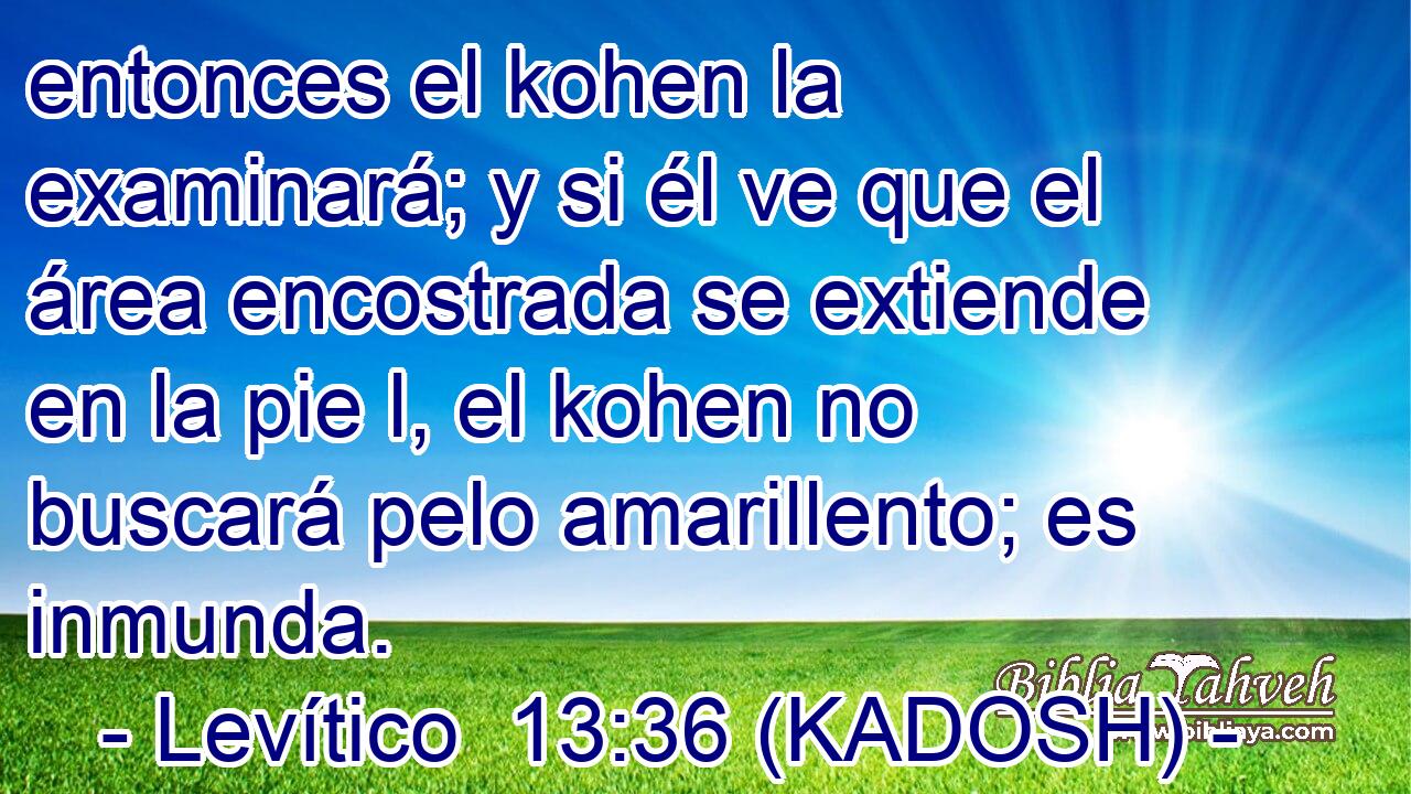  entonces el kohen la examinará; y si él ve que el área encostrada se extiende en la pie l, el kohen no buscará pelo amarillento; es inmunda. 