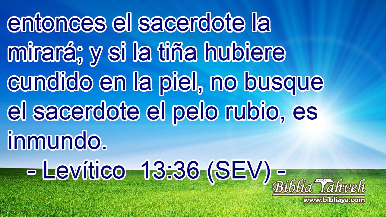 entonces el sacerdote la mirará; y si la tiña hubiere cundido en la piel, no busque el sacerdote el pelo rubio, es inmundo.