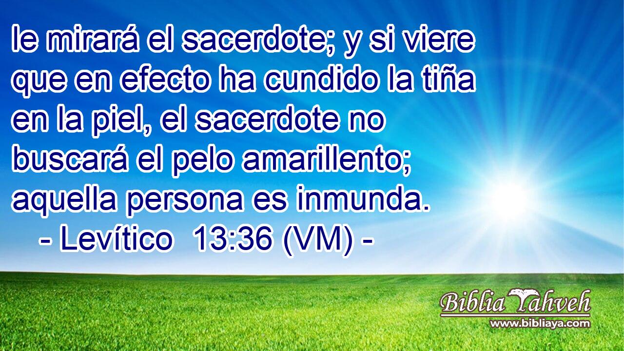  le mirará el sacerdote; y si viere que en efecto ha cundido la tiña en la piel, el sacerdote no buscará el pelo amarillento; aquella persona es inmunda. 
