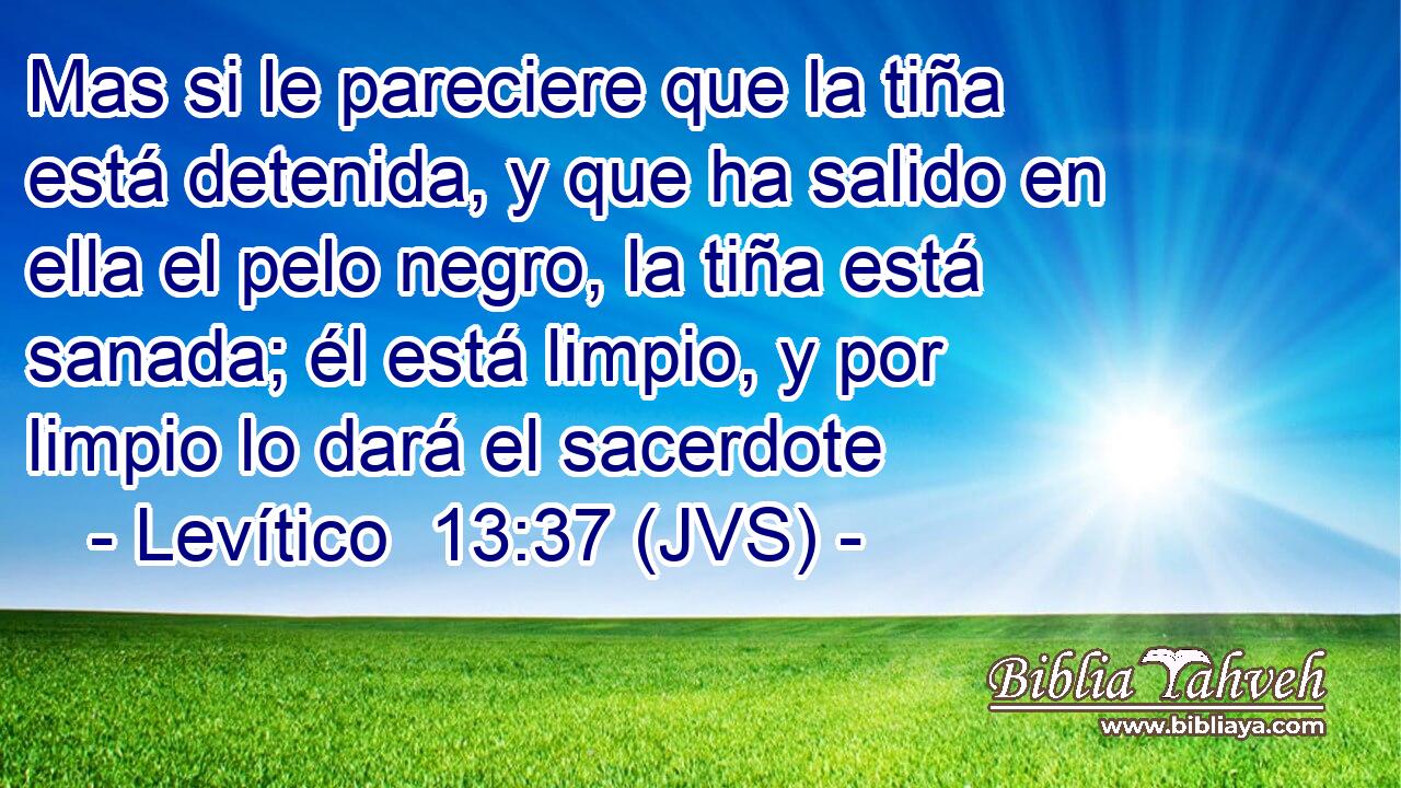 Mas si le pareciere que la tiña está detenida, y que ha salido en ella el pelo negro, la tiña está sanada; él está limpio, y por limpio lo dará el sacerdote