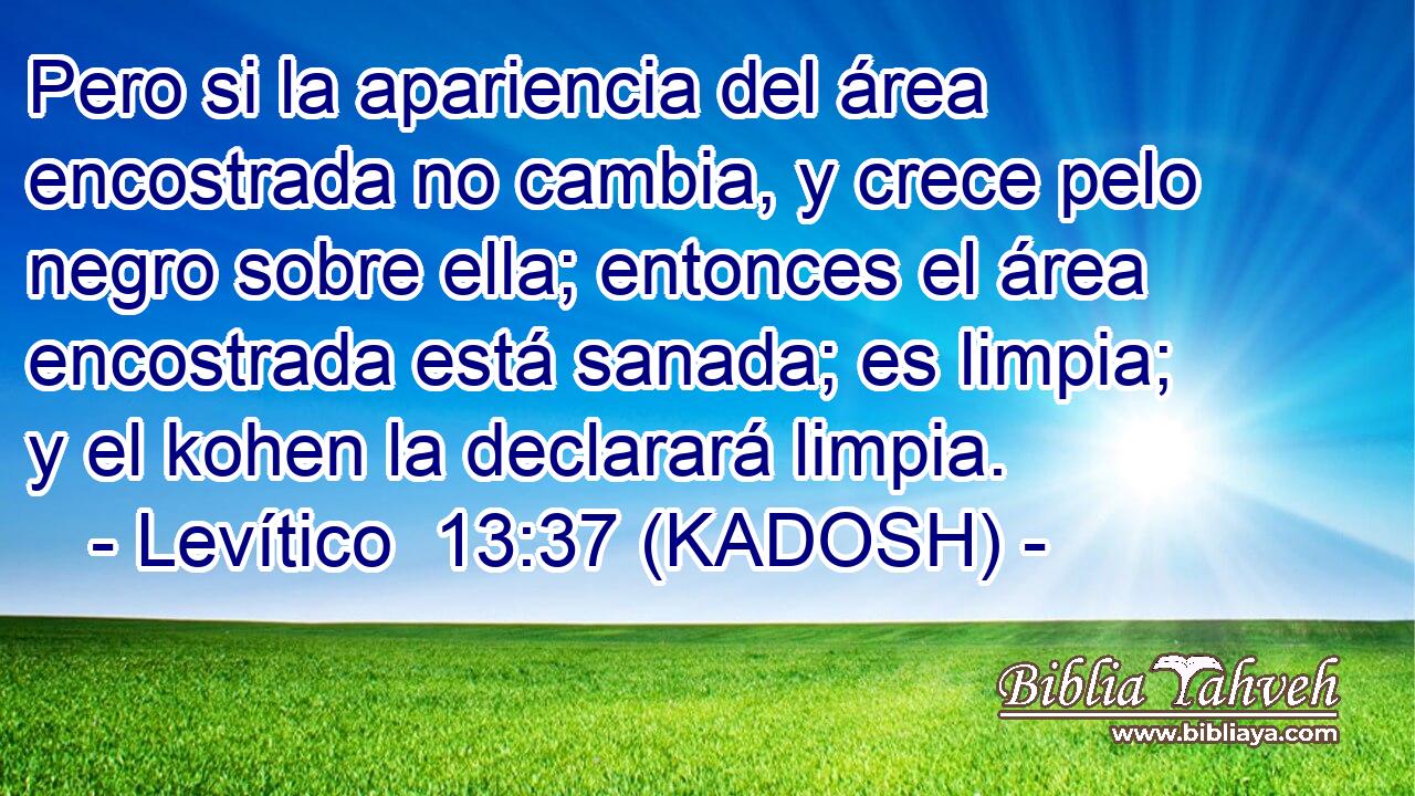  Pero si la apariencia del área encostrada no cambia, y crece pelo negro sobre ella; entonces el área encostrada está sanada; es limpia; y el kohen la declarará limpia. 