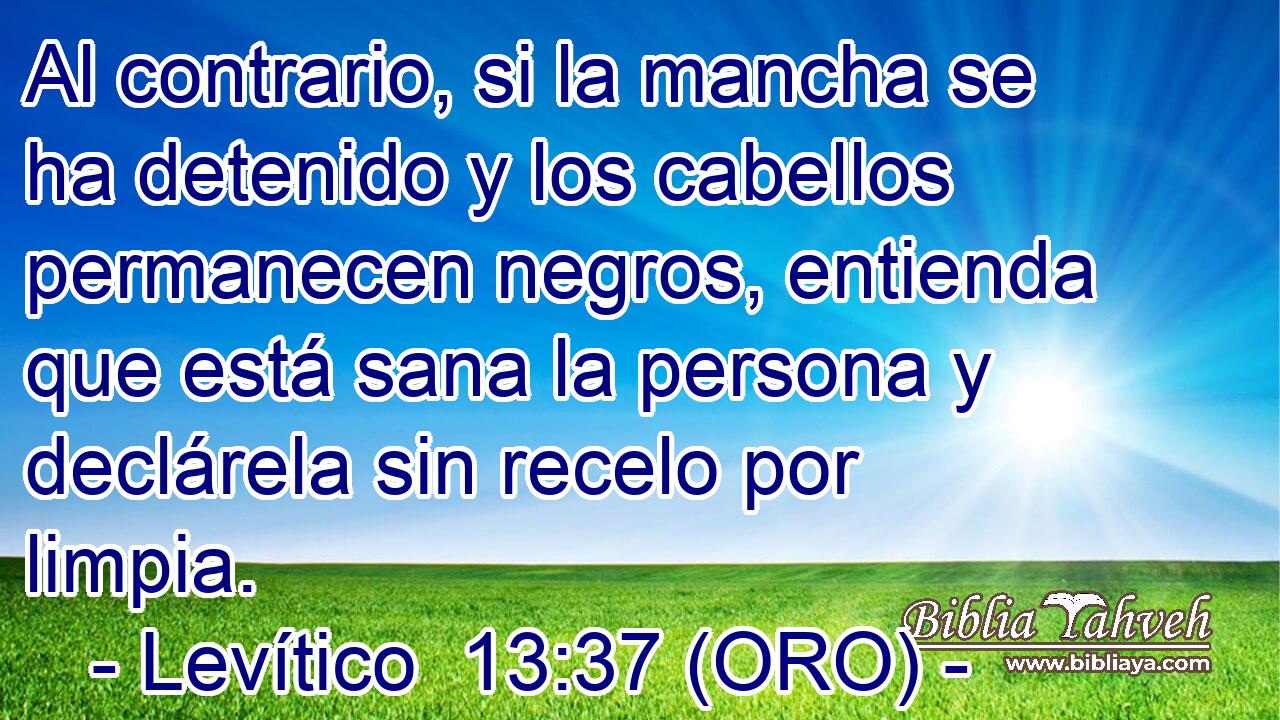 Al contrario, si la mancha se ha detenido y los cabellos permanecen negros, entienda que está sana la persona y declárela sin recelo por limpia. 