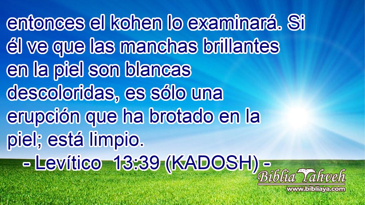  entonces el kohen lo examinará. Si él ve que las manchas brillantes en la piel son blancas descoloridas, es sólo una erupción que ha brotado en la piel; está limpio. 
