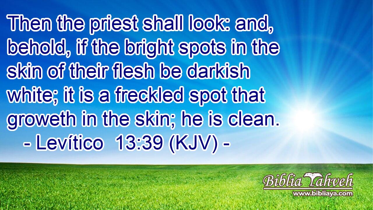 Then the priest shall look: and, behold, if the bright spots in the skin of their flesh be darkish white; it is a freckled spot that groweth in the skin; he is clean.