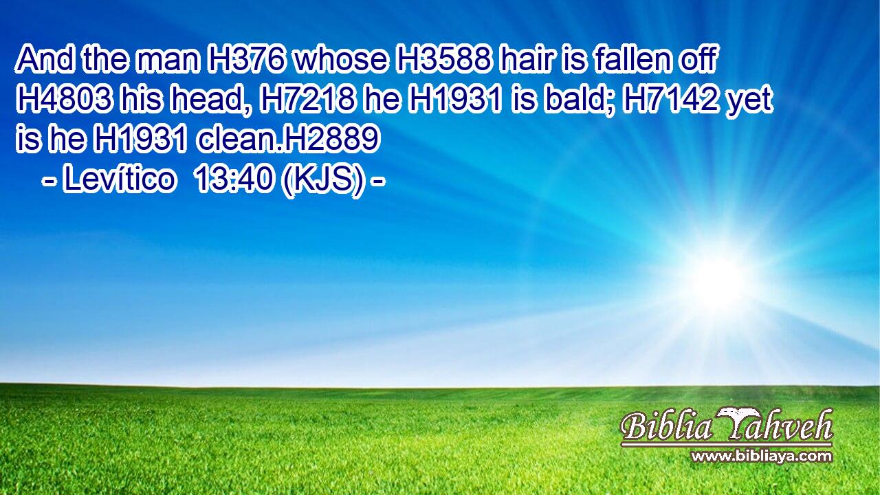 And the man H376 whose H3588 hair is fallen off H4803 his head, H7218 he H1931 is bald; H7142 yet is he H1931 clean.H2889