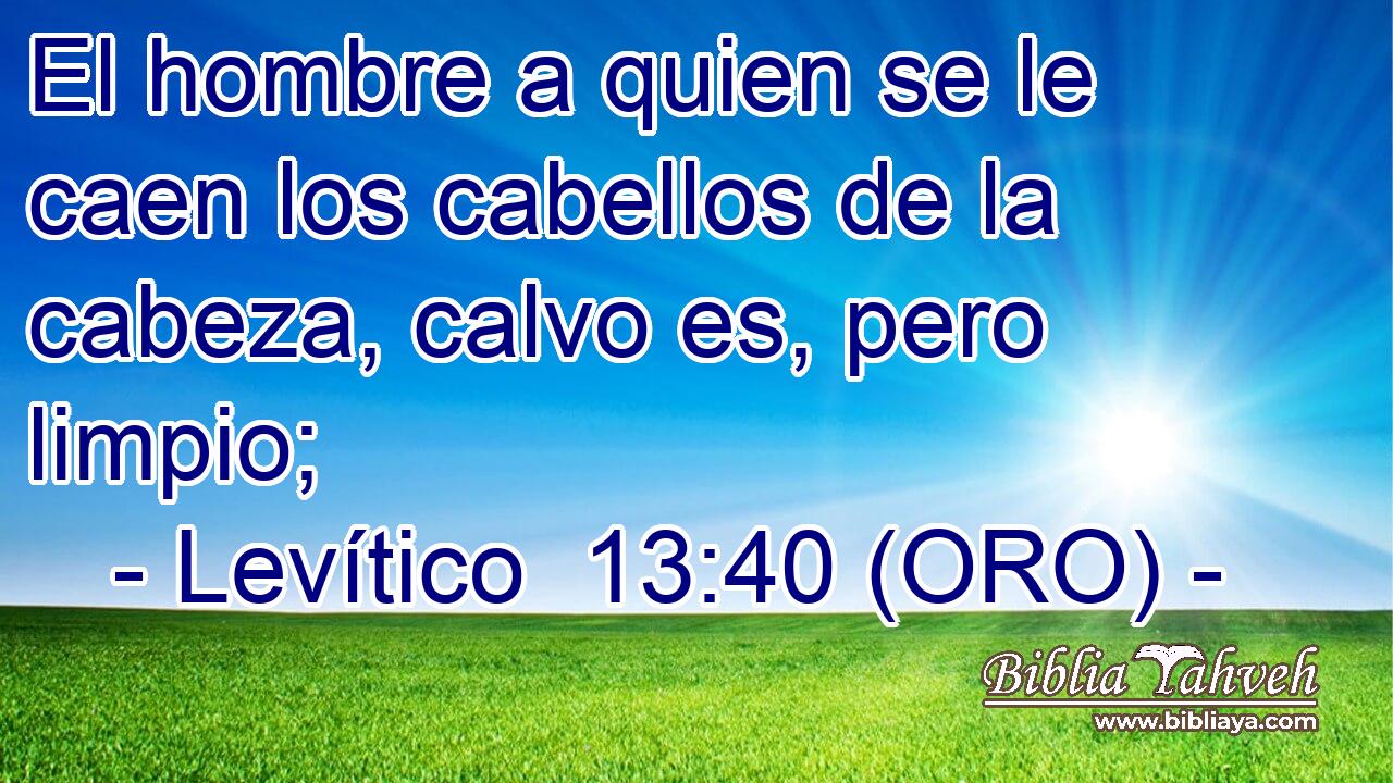  El hombre a quien se le caen los cabellos de la cabeza, calvo es, pero limpio; 