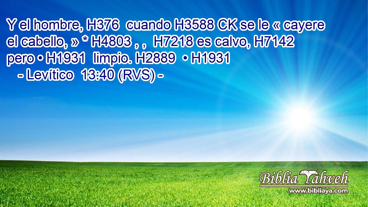 Y el hombre, H376  cuando H3588 CK se le « cayere el cabello, » * H4803 , ,  H7218 es calvo, H7142  pero • H1931  limpio. H2889  • H1931  