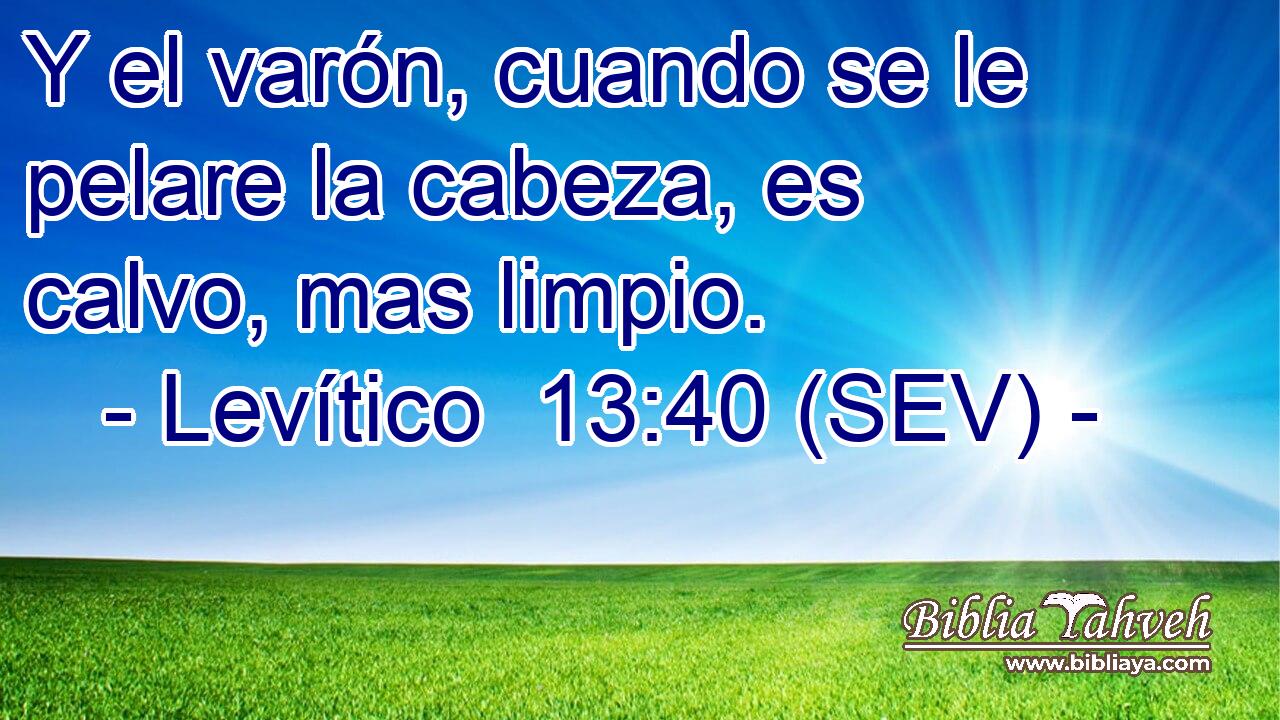 Y el varón, cuando se le pelare la cabeza, es calvo, mas limpio.