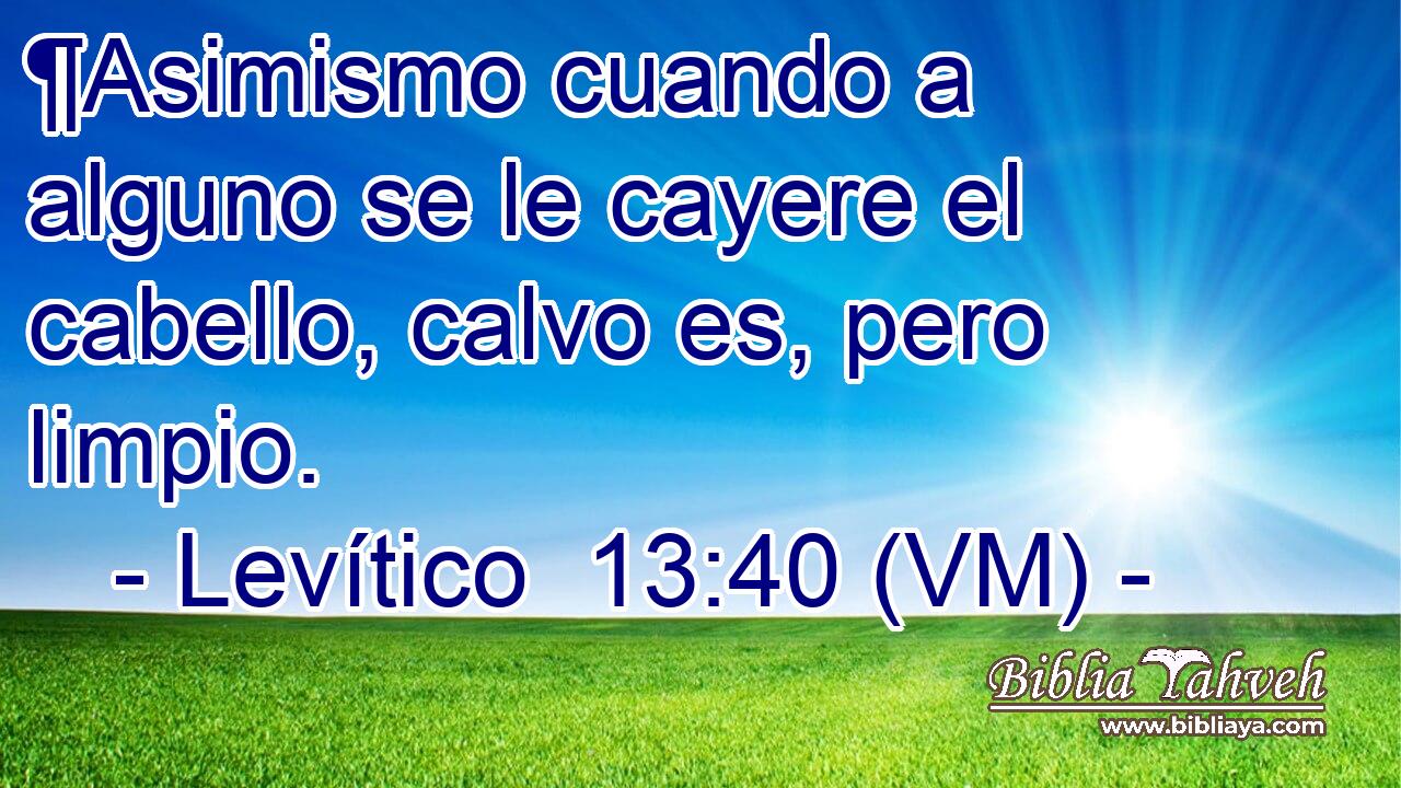  ¶Asimismo cuando a alguno se le cayere el cabello, calvo es, pero limpio. 