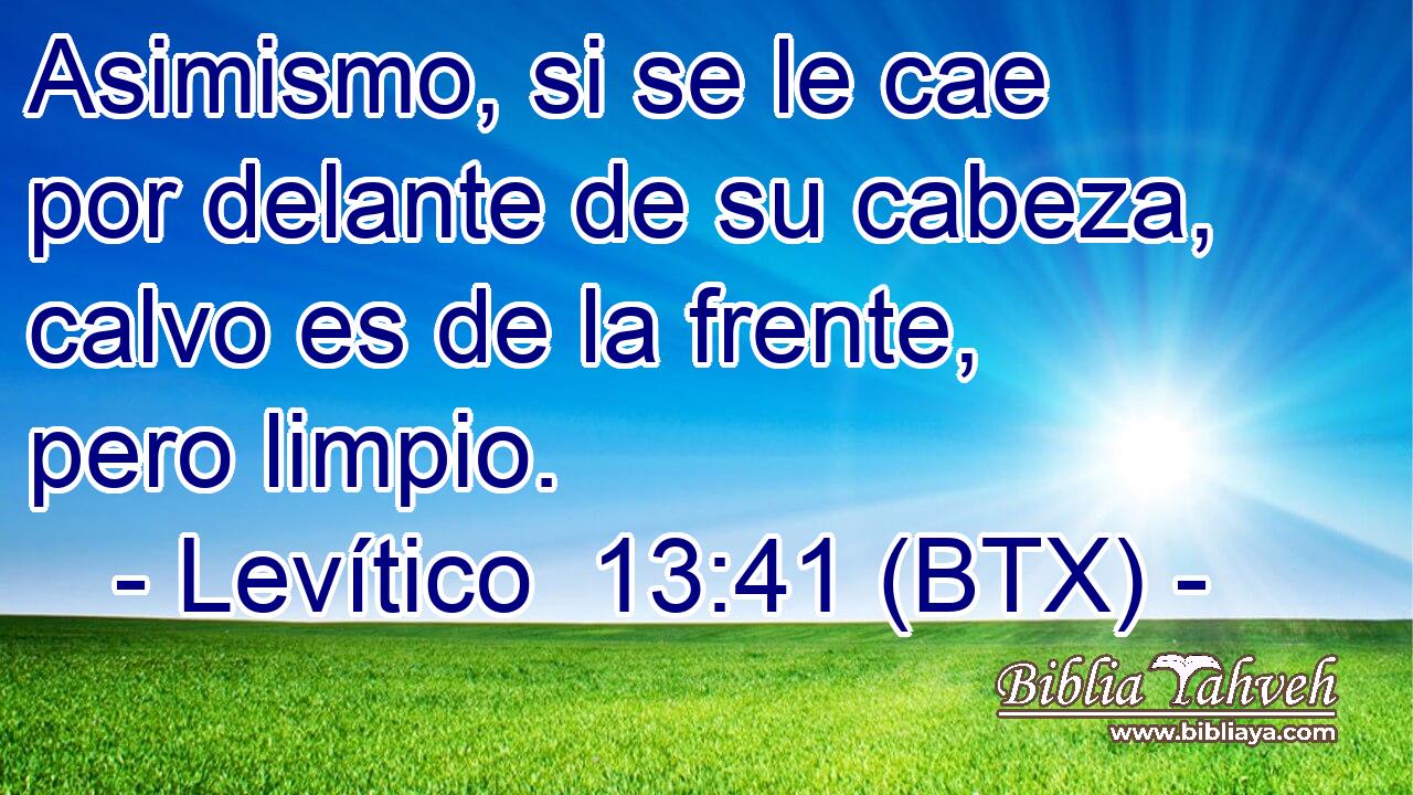 Asimismo, si se le cae por delante de su cabeza, calvo es de la frente, pero limpio.