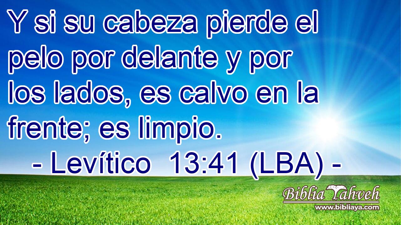 Y si su cabeza pierde el pelo por delante y por los lados, es calvo en la frente; es limpio.