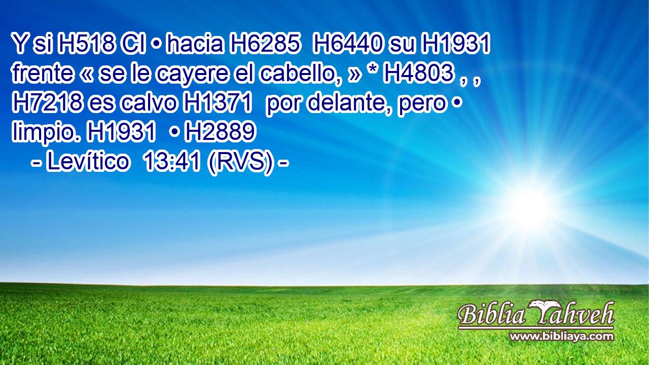 Y si H518 CI • hacia H6285  H6440 su H1931  frente « se le cayere el cabello, » * H4803 , ,  H7218 es calvo H1371  por delante, pero • limpio. H1931  • H2889  