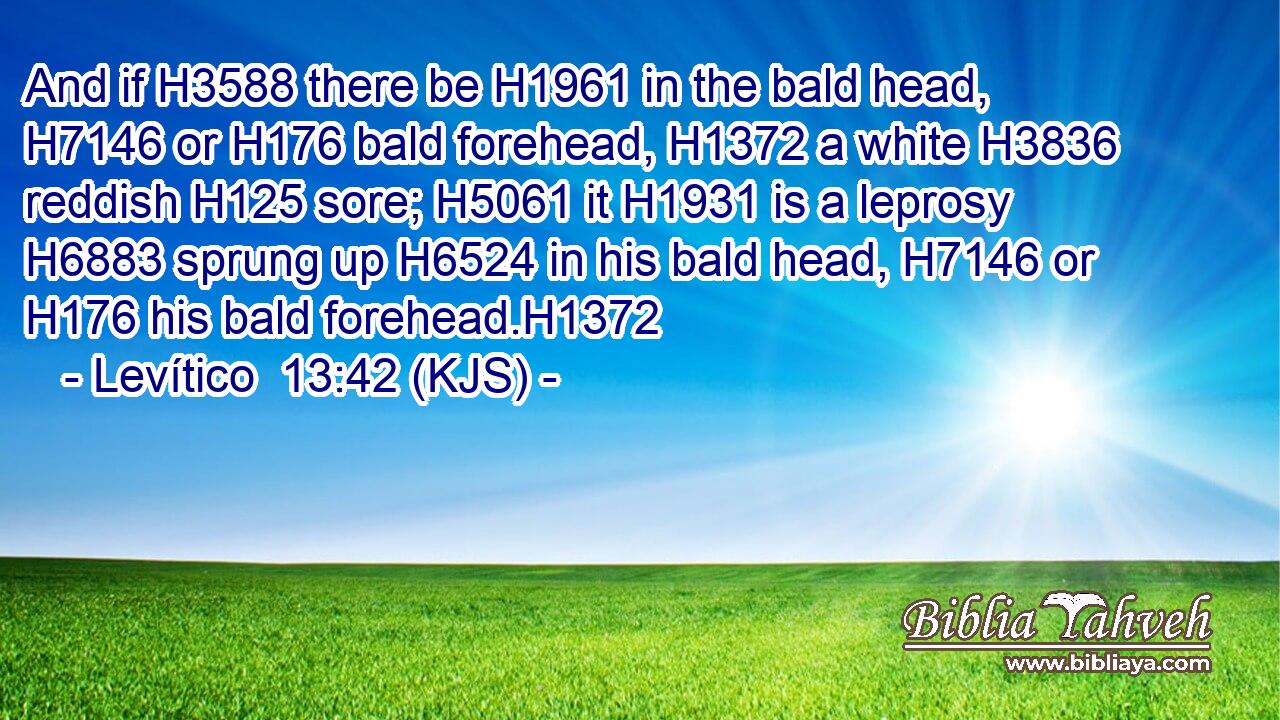 And if H3588 there be H1961 in the bald head, H7146 or H176 bald forehead, H1372 a white H3836 reddish H125 sore; H5061 it H1931 is a leprosy H6883 sprung up H6524 in his bald head, H7146 or H176 his bald forehead.H1372