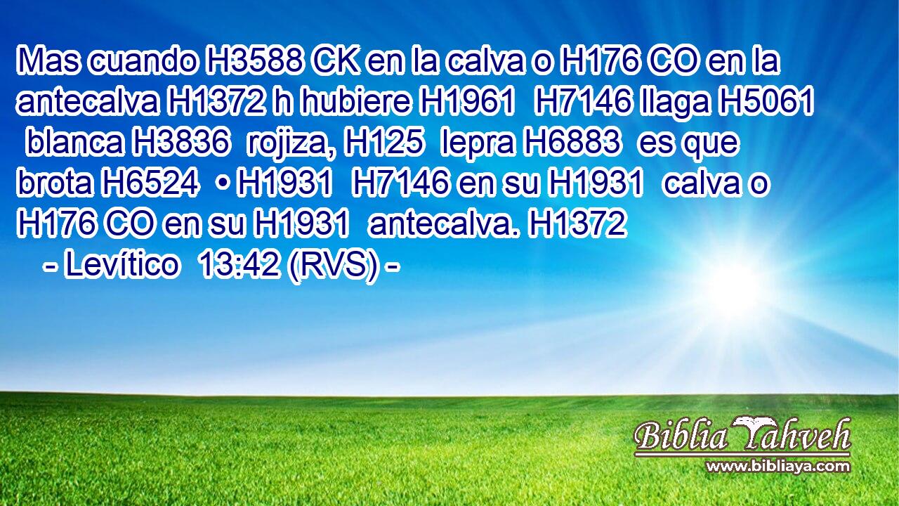 Mas cuando H3588 CK en la calva o H176 CO en la antecalva H1372 h hubiere H1961  H7146 llaga H5061  blanca H3836  rojiza, H125  lepra H6883  es que brota H6524  • H1931  H7146 en su H1931  calva o H176 CO en su H1931  antecalva. H1372  
