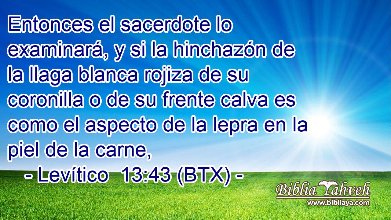 Entonces el sacerdote lo examinará, y si la hinchazón de la llaga blanca rojiza de su coronilla o de su frente calva es como el aspecto de la lepra en la piel de la carne,