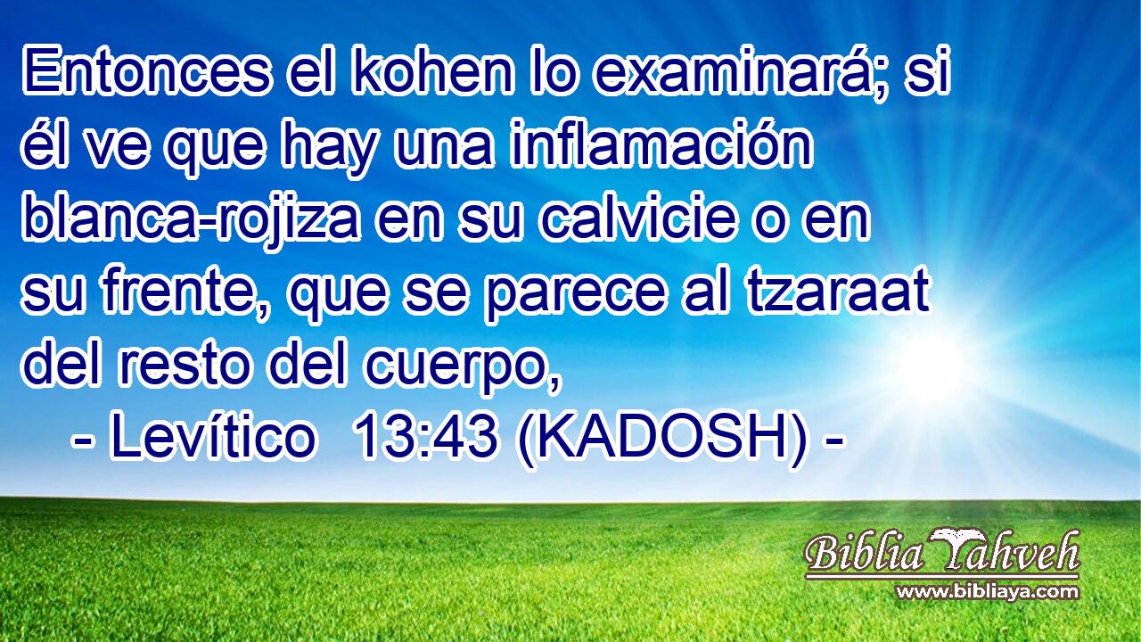  Entonces el kohen lo examinará; si él ve que hay una inflamación blanca-rojiza en su calvicie o en su frente, que se parece al tzaraat del resto del cuerpo, 
