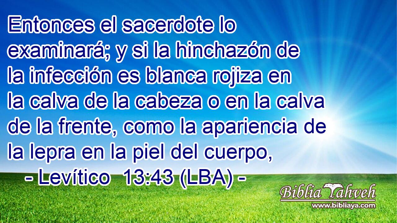 Entonces el sacerdote lo examinará; y si la hinchazón de la infección es blanca rojiza en la calva de la cabeza o en la calva de la frente, como la apariencia de la lepra en la piel del cuerpo,