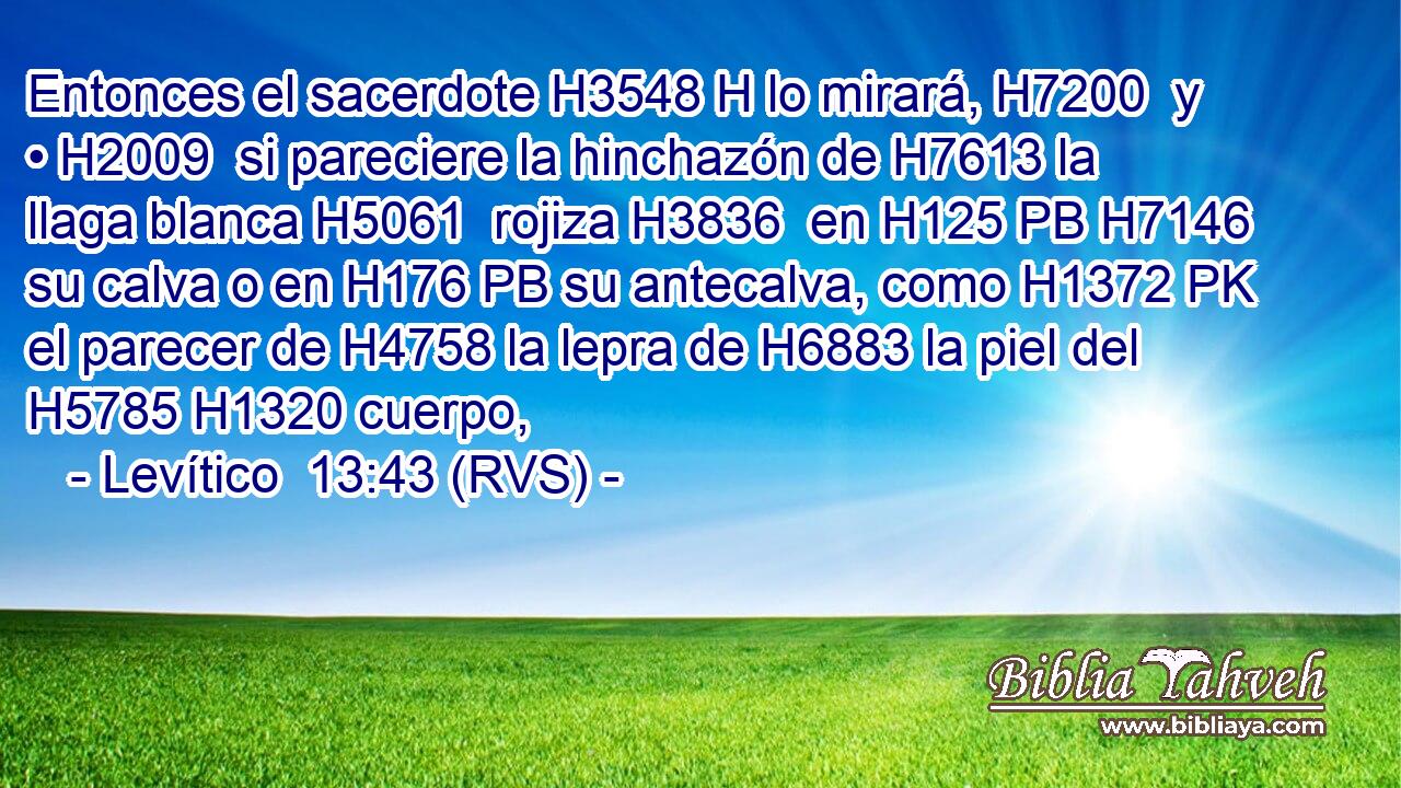 Entonces el sacerdote H3548 H lo mirará, H7200  y • H2009  si pareciere la hinchazón de H7613 la llaga blanca H5061  rojiza H3836  en H125 PB H7146 su calva o en H176 PB su antecalva, como H1372 PK el parecer de H4758 la lepra de H6883 la piel del H5785 H1320 cuerpo, 