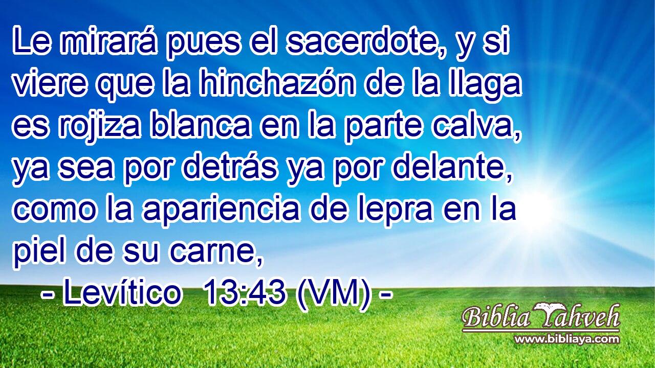  Le mirará pues el sacerdote, y si viere que la hinchazón de la llaga es rojiza blanca en la parte calva, ya sea por detrás ya por delante, como la apariencia de lepra en la piel de su carne, 
