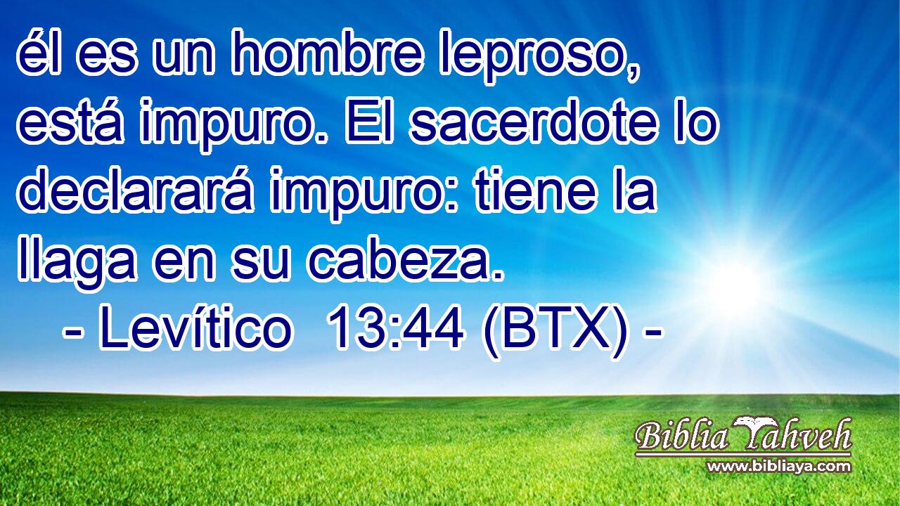 él es un hombre leproso, está impuro. El sacerdote lo declarará impuro: tiene la llaga en su cabeza.