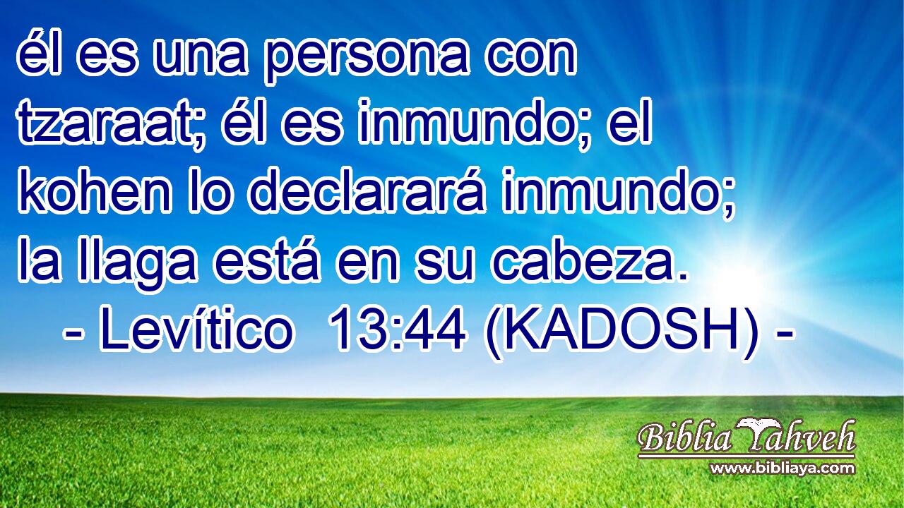  él es una persona con tzaraat; él es inmundo; el kohen lo declarará inmundo; la llaga está en su cabeza. 