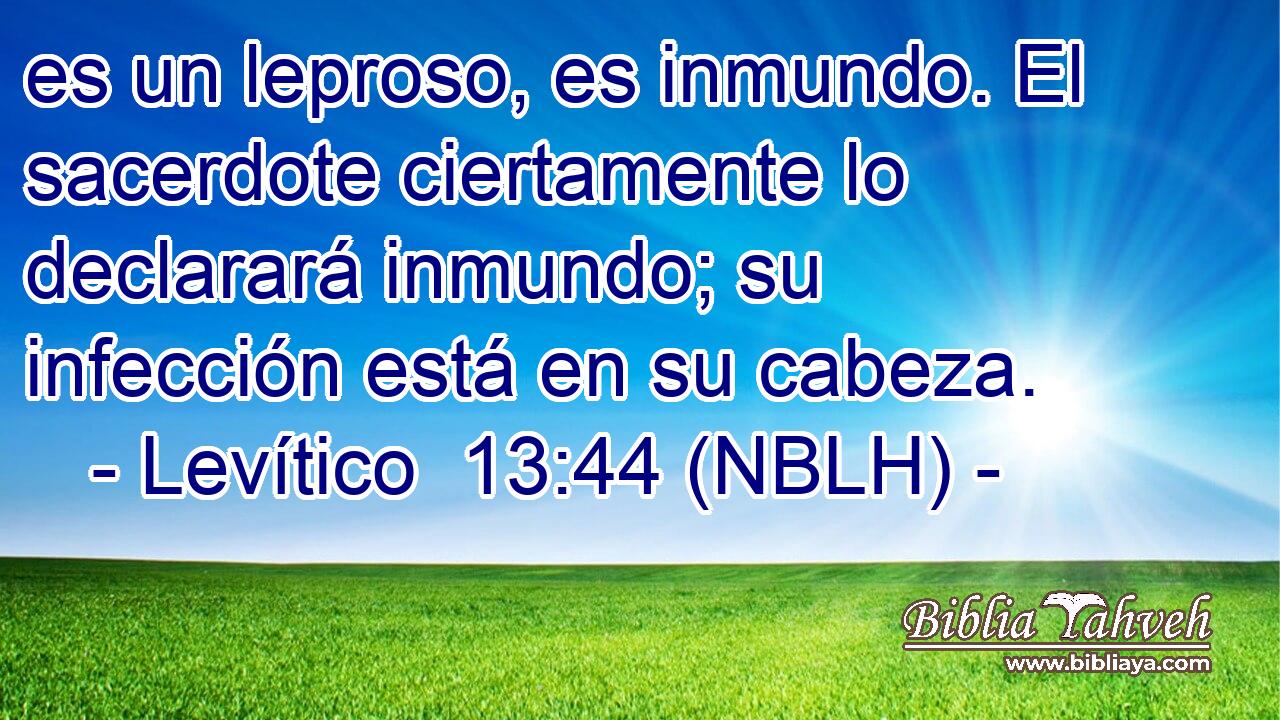  es un leproso, es inmundo. El sacerdote ciertamente lo declarará inmundo; su infección está en su cabeza. 