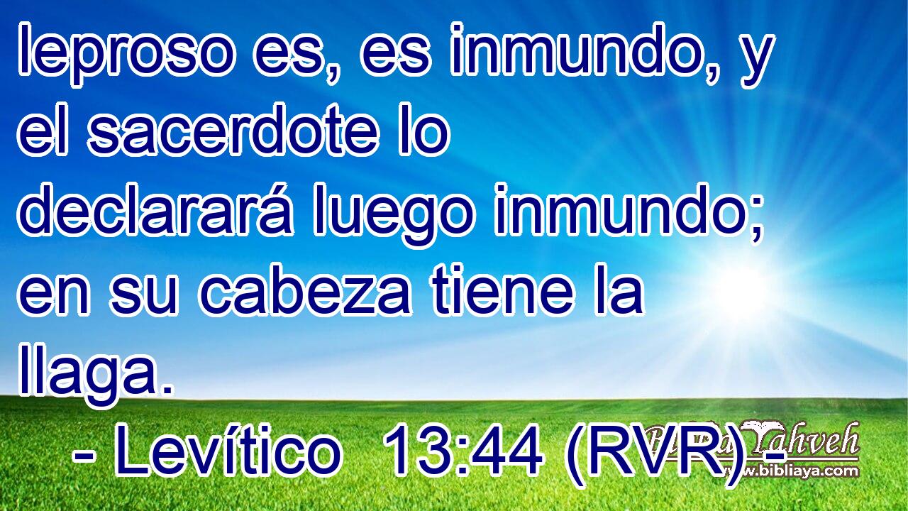 leproso es, es inmundo, y el sacerdote lo declarará luego inmundo; en su cabeza tiene la llaga.