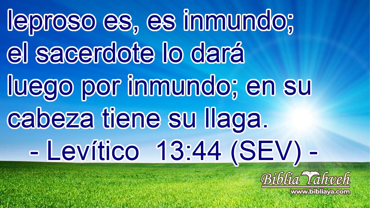 leproso es, es inmundo; el sacerdote lo dará luego por inmundo; en su cabeza tiene su llaga.