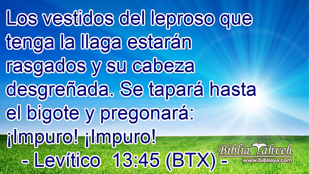 Los vestidos del leproso que tenga la llaga estarán rasgados y su cabeza desgreñada. Se tapará hasta el bigote y pregonará: ¡Impuro! ¡Impuro!