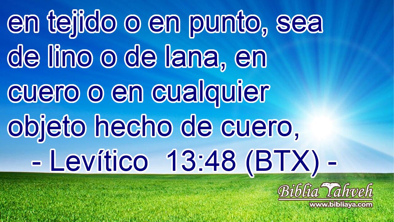 en tejido o en punto, sea de lino o de lana, en cuero o en cualquier objeto hecho de cuero,